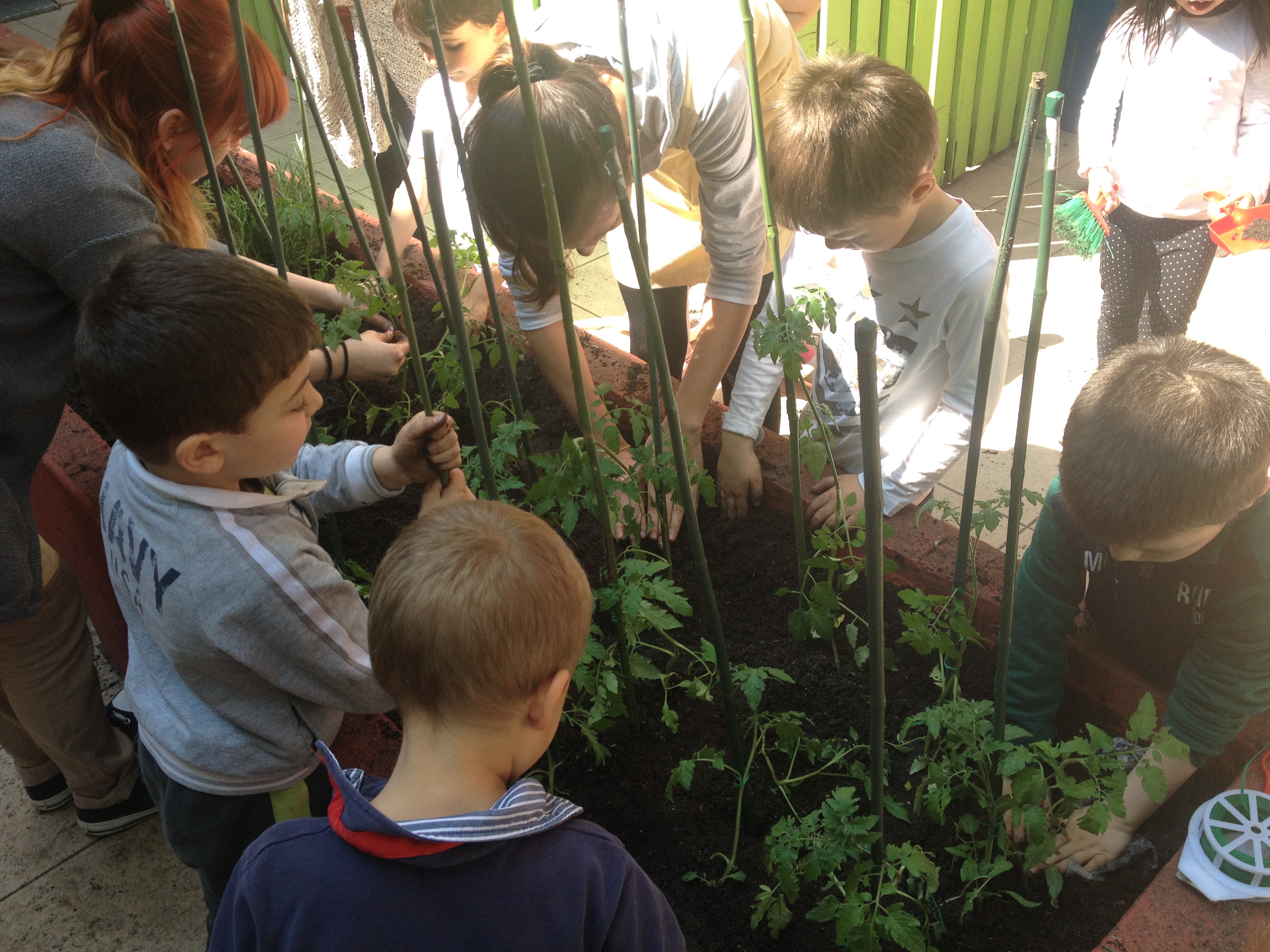 casa dei bambini 6 - Scuola Montessori Bilingue Milano